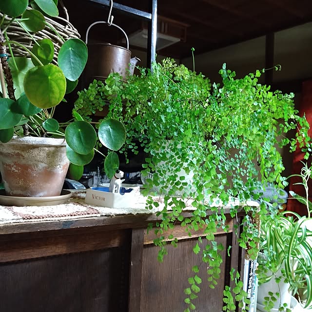 nacoさんの実例写真