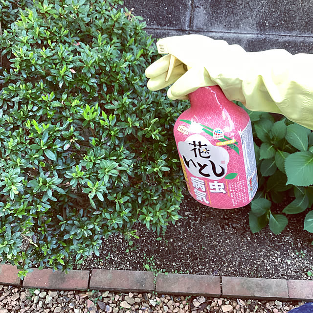 richanさんの部屋