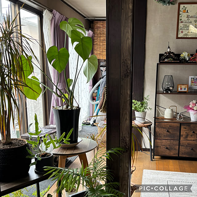 Smilkazuさんの部屋