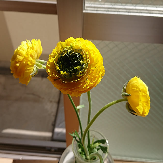 horohorotoriさんの実例写真