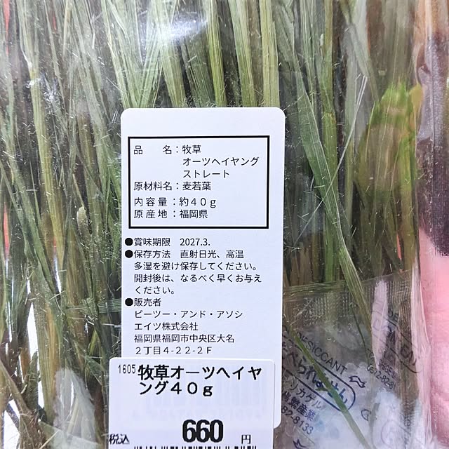 mariaさんの部屋