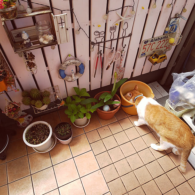 uutann320mozukuさんの実例写真