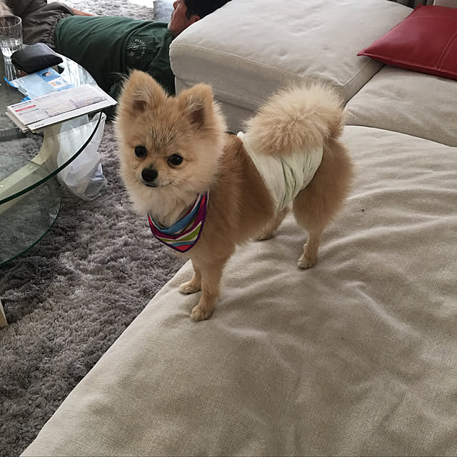 MAKARONさんの実例写真