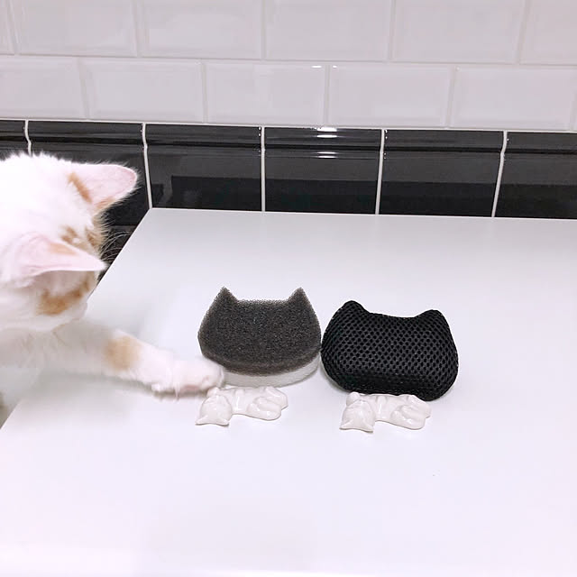 yuchiさんの実例写真