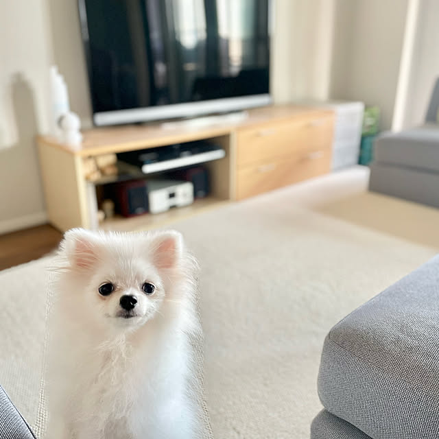 Mさんの実例写真