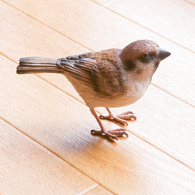 faunさんの部屋