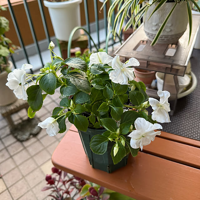 Aqettyさんの部屋