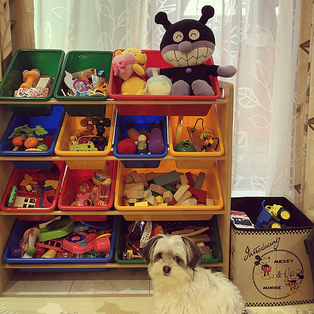 mapi329さんの実例写真