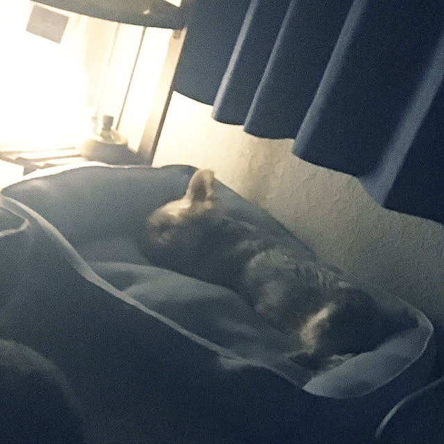 ohanaさんの実例写真