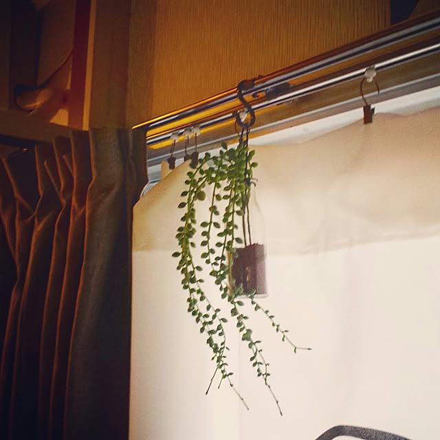 riana081011さんの実例写真