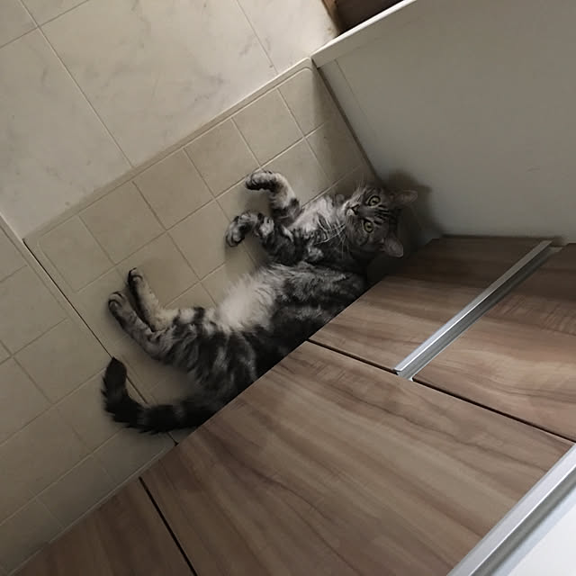 mikomaruさんの実例写真