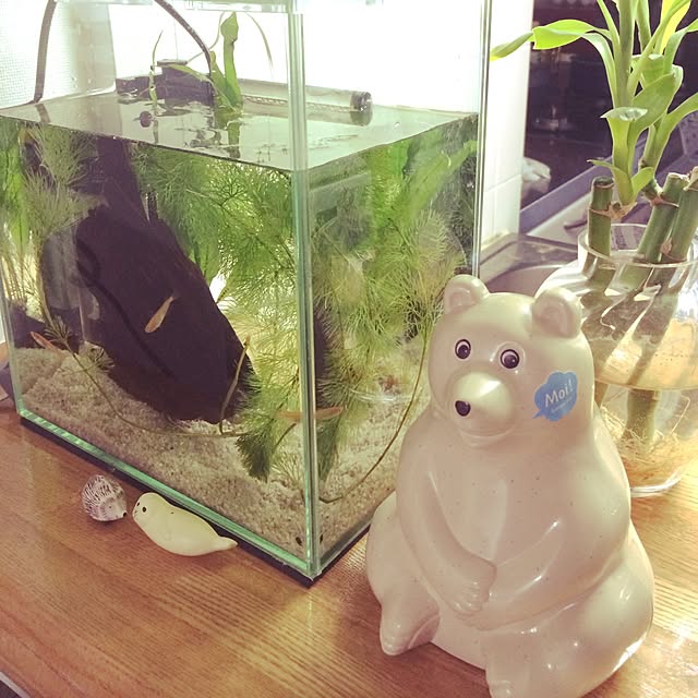yuusさんの実例写真