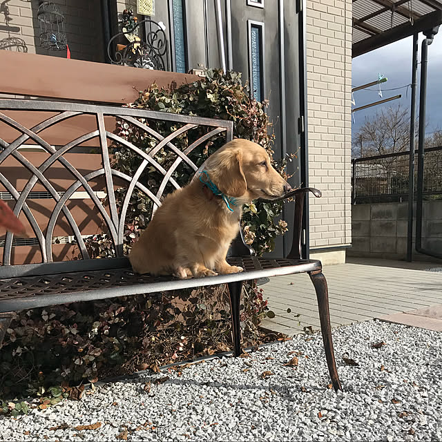 ronronさんの実例写真