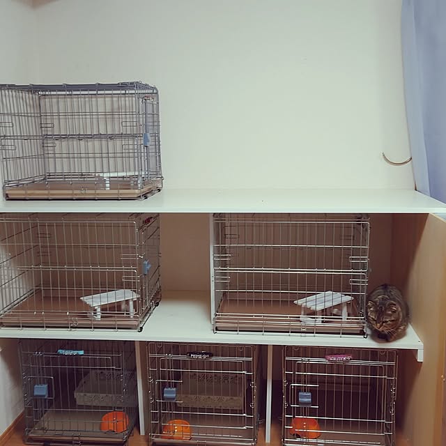 noguriさんの部屋