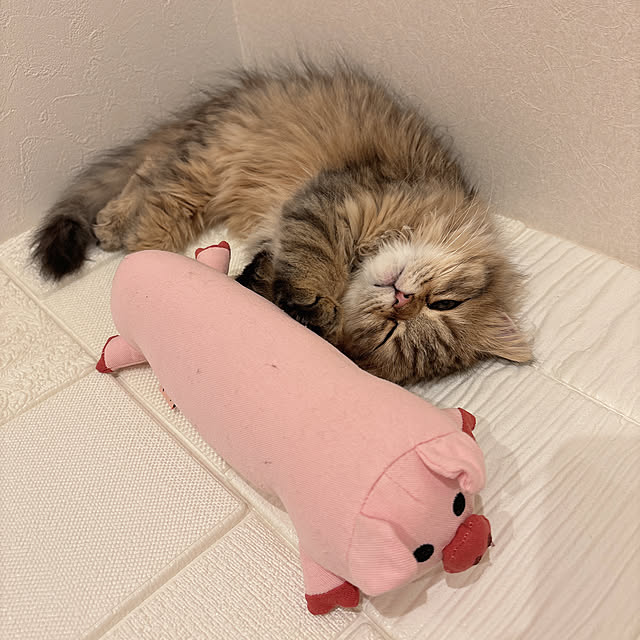 miyu39さんの部屋