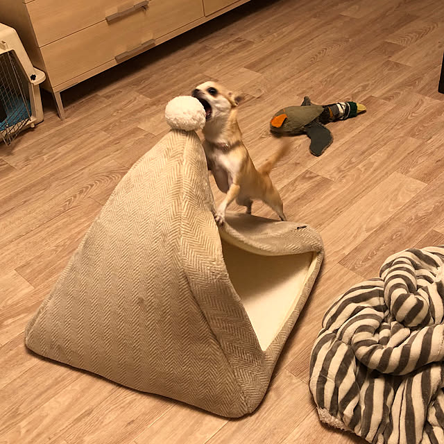 Hanagoboさんの実例写真