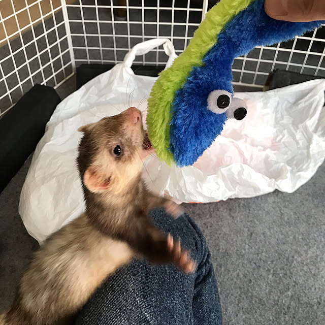 Satokoさんの実例写真