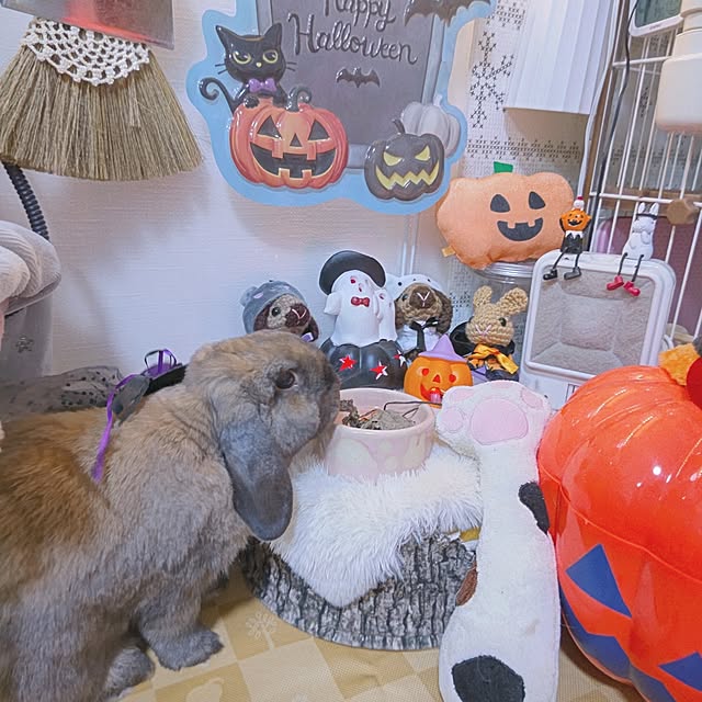 mariaさんの部屋