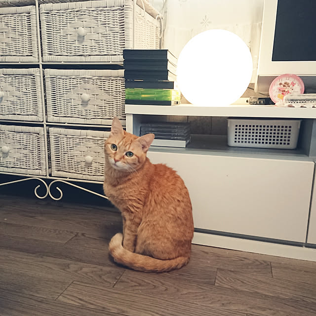 asuminさんの実例写真