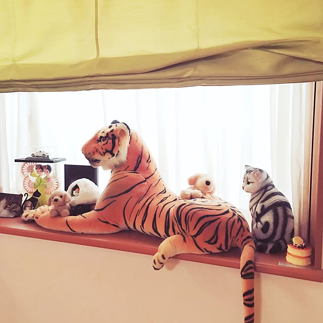 tajm93さんの実例写真