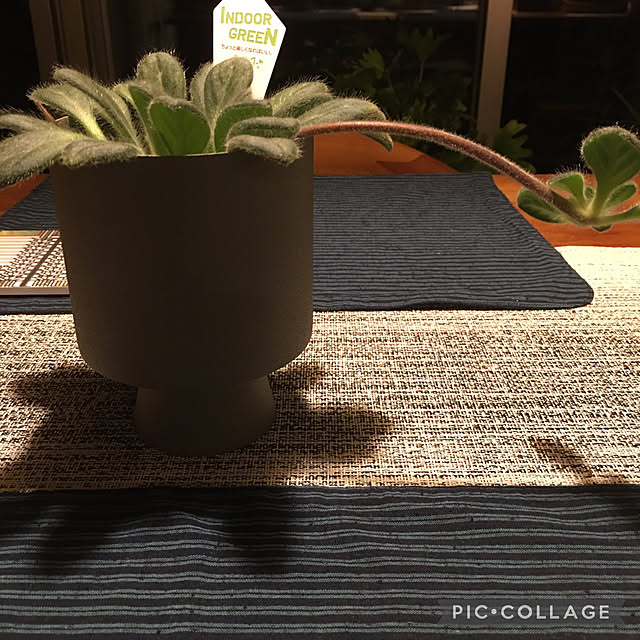 happy-sachiさんの実例写真