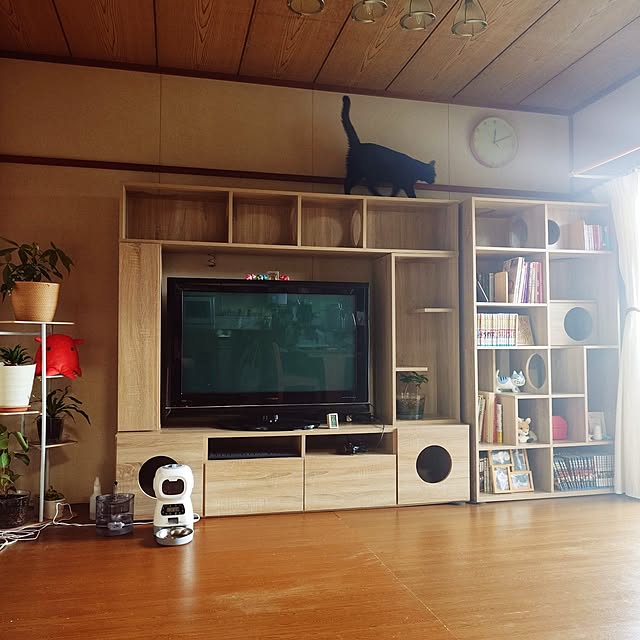 butterflykissさんの実例写真