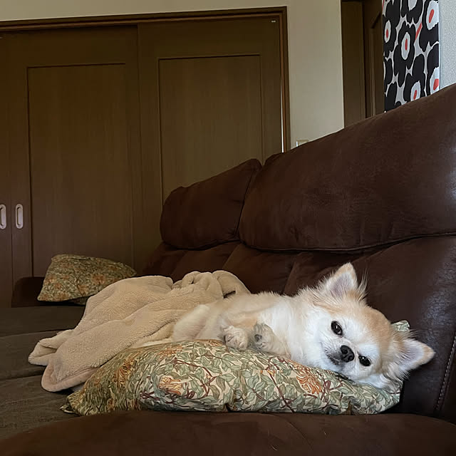 natsumiさんの部屋