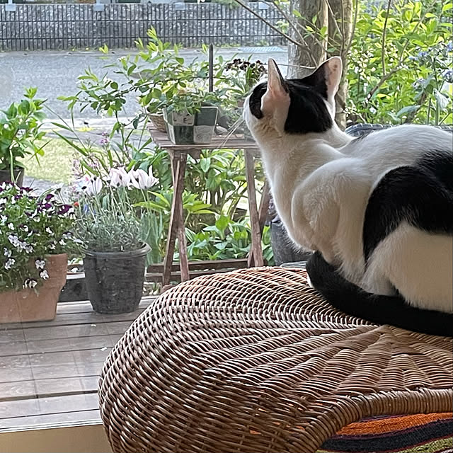 nobikoさんの実例写真