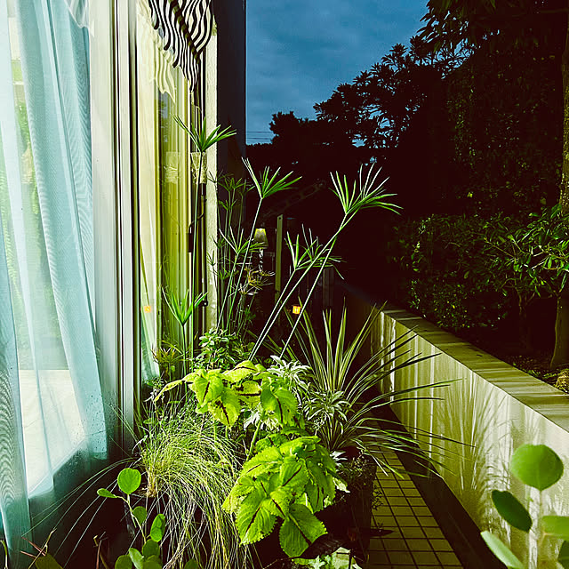 DAYONEさんの実例写真