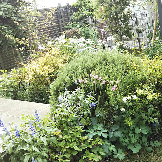 momoさんの実例写真