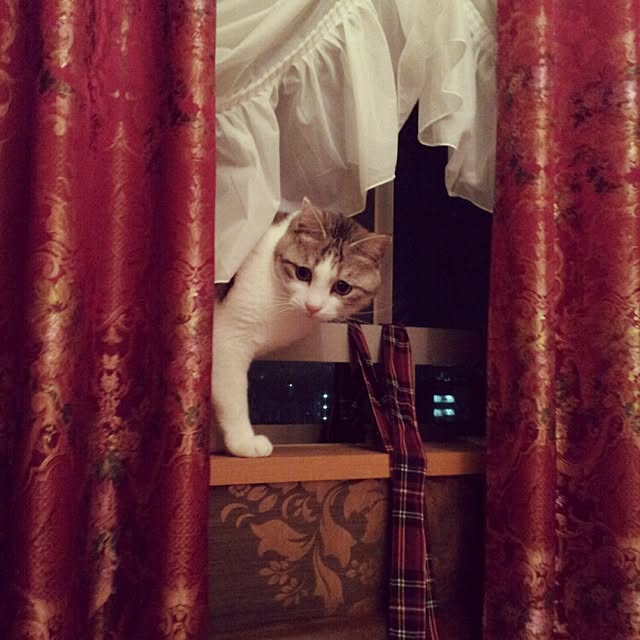 emmyyさんの実例写真