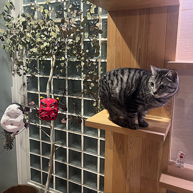 mtkさんの実例写真
