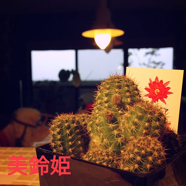 akaneさんの実例写真