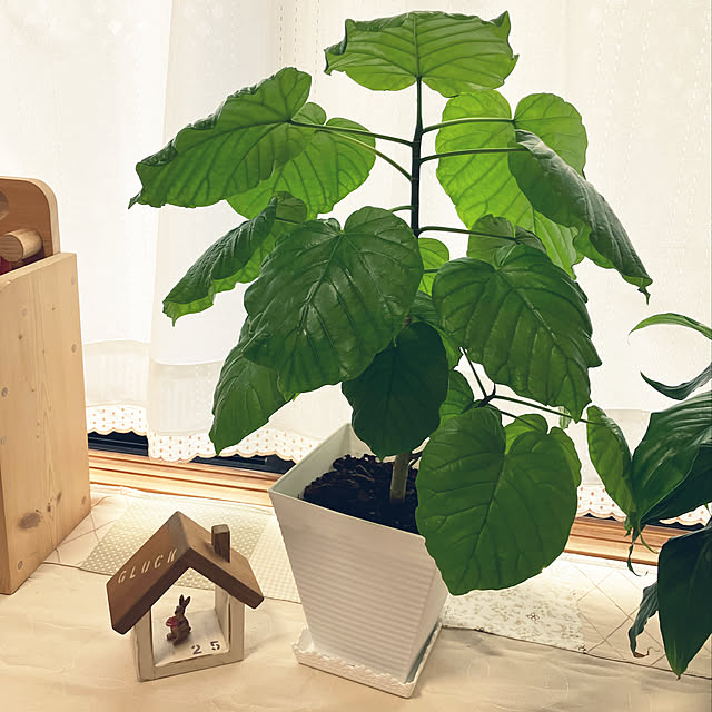 leafさんの実例写真