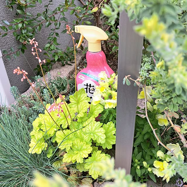 Jijiさんの部屋