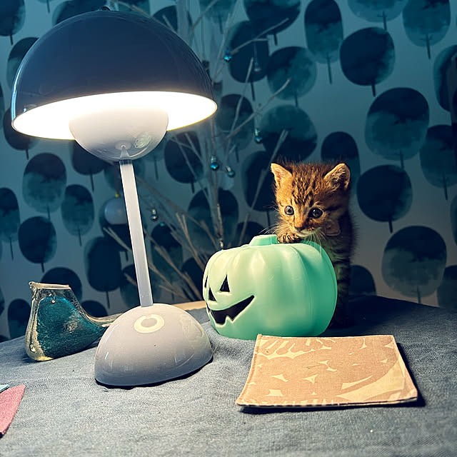 kanaさんの実例写真