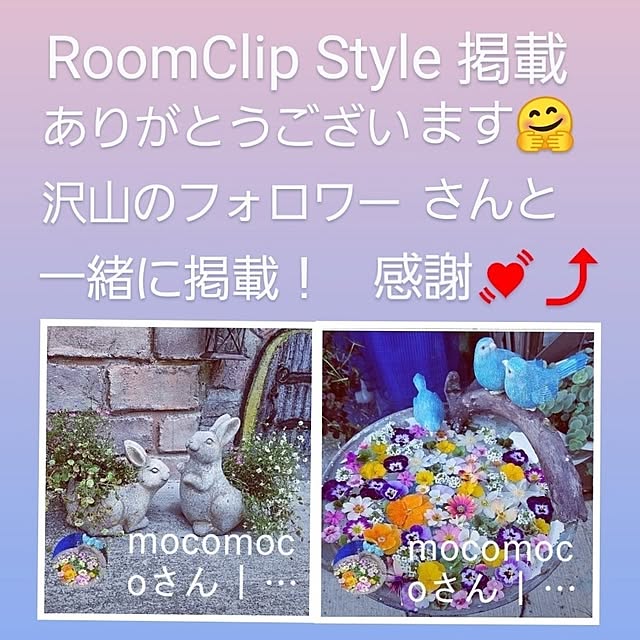 mocomocoさんの部屋
