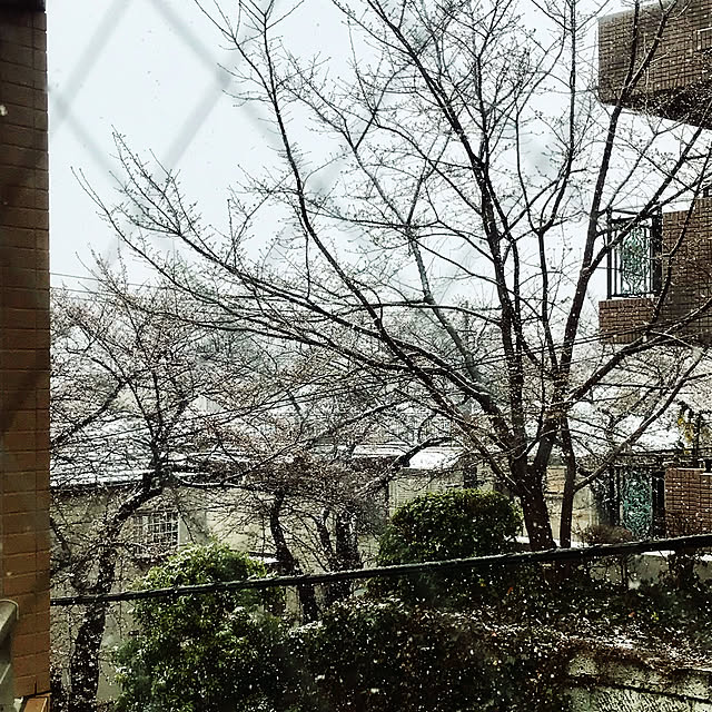 yurincaさんの実例写真