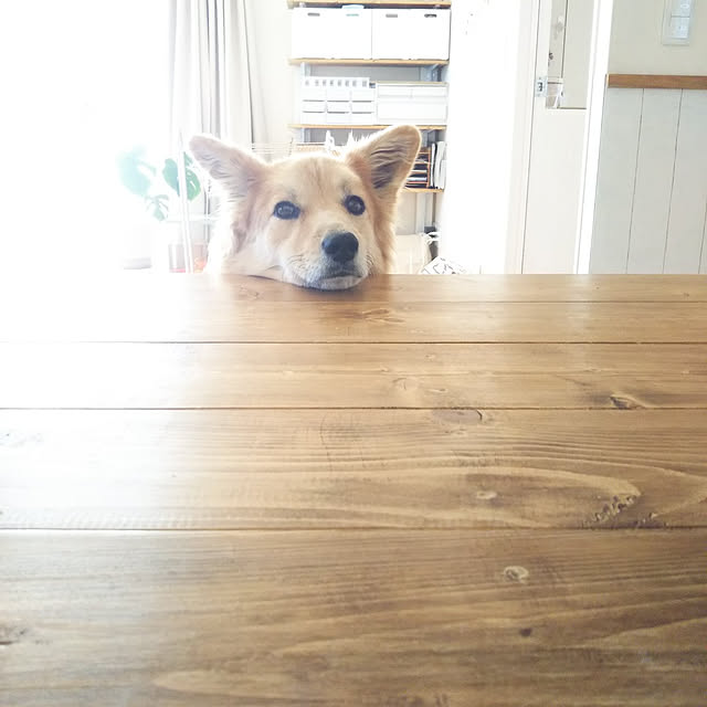 kaoriさんの実例写真