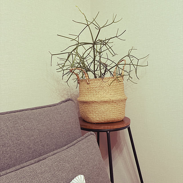 riomさんの実例写真
