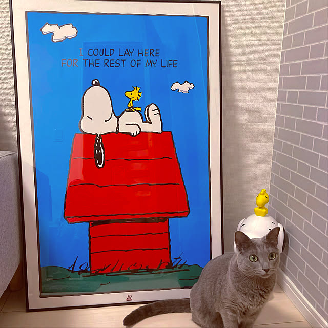snoopyさんの実例写真