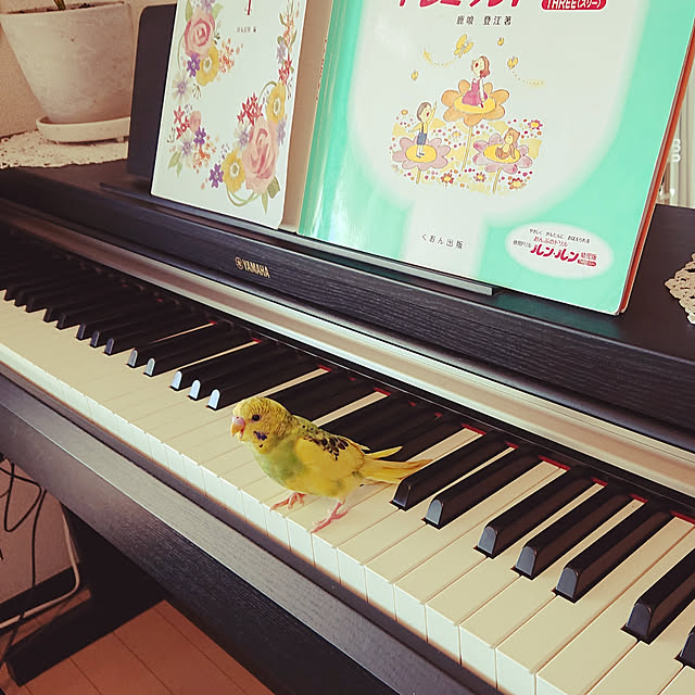 kyonさんの実例写真