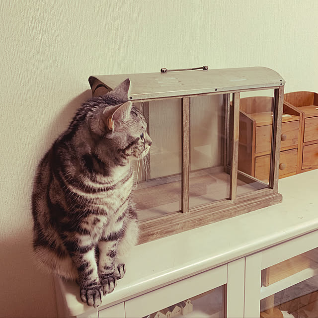 Kumiさんの実例写真