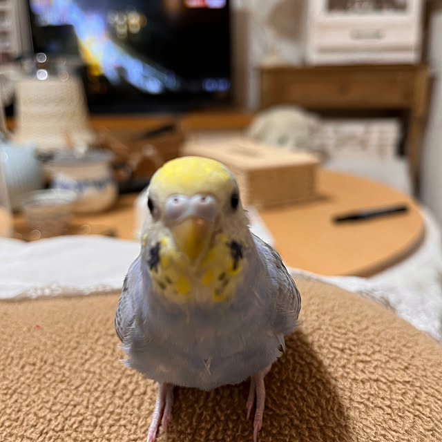 Atsukoさんの部屋