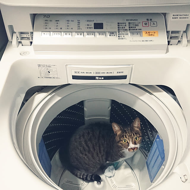 nachiさんの実例写真
