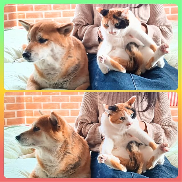 nanaさんの部屋