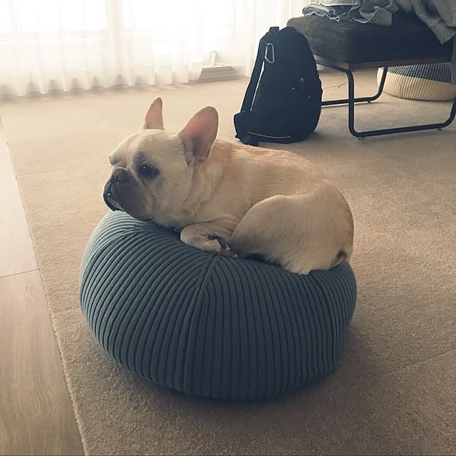 chiiさんの実例写真