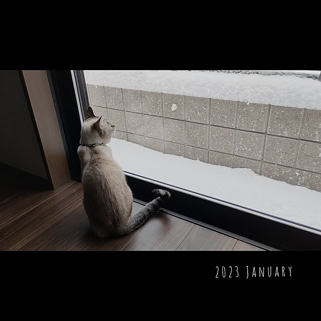Atelier_tamakiさんの部屋
