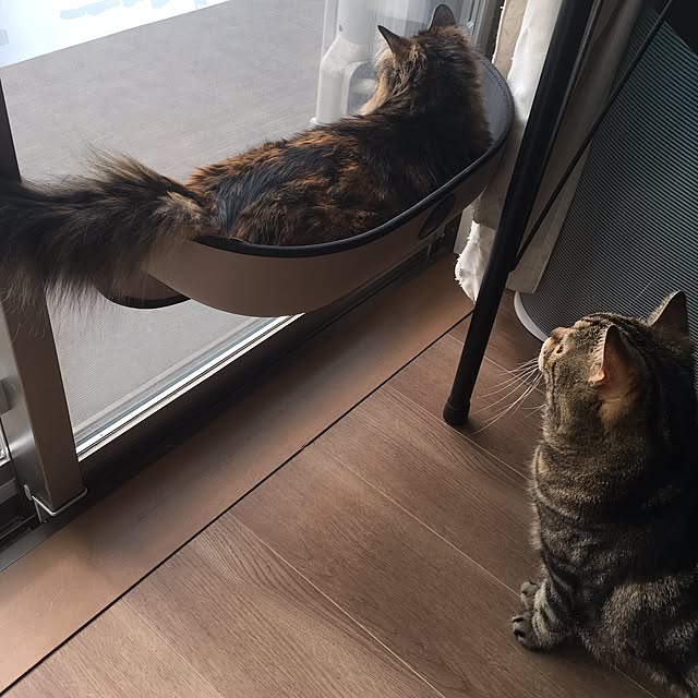 mikomaruさんの実例写真