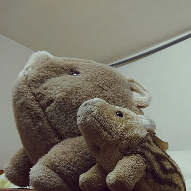 laPifamilyさんの実例写真